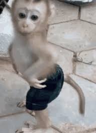 Goofy Ahh Image